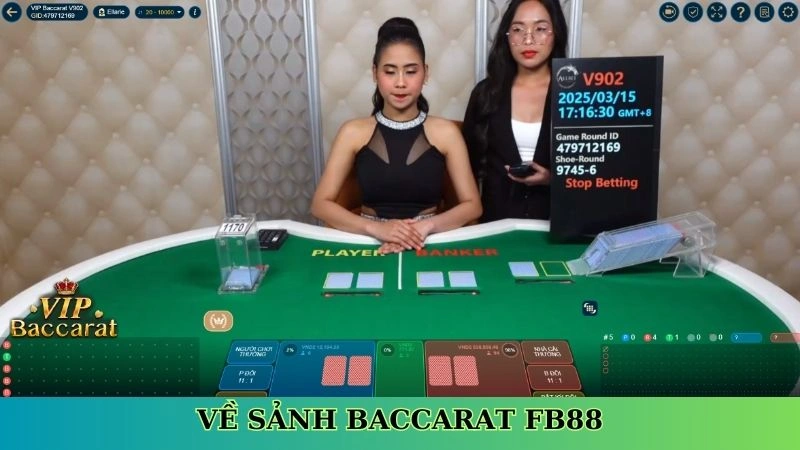 Giới thiệu đôi nét sảnh game bài Baccarat