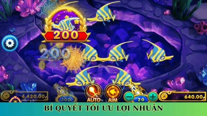 Bí quyết tối ưu lợi nhuận