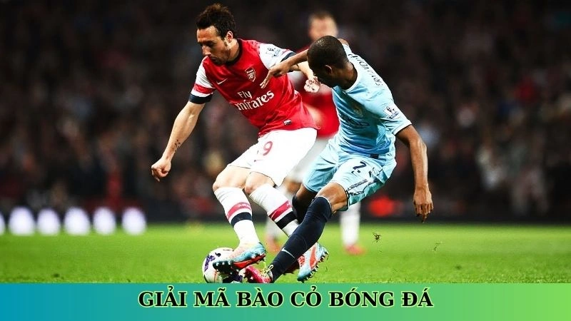 Giải mã bào cỏ bóng đá