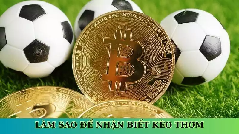 Làm sao để nhận biết kèo thơm