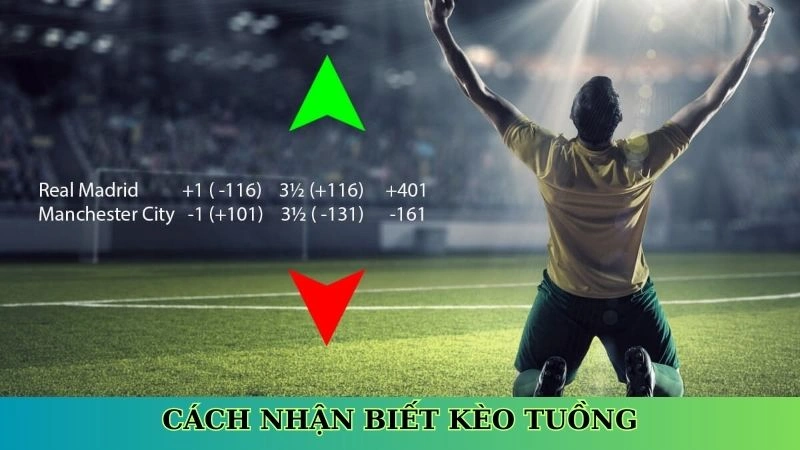 Cách nhận biết kèo tuồng