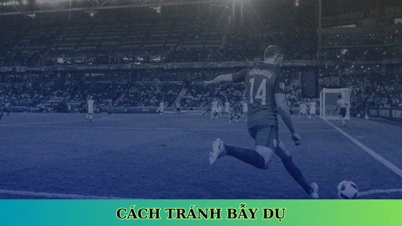 Cách tránh bẫy dụ khi cá cược bóng đá